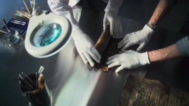 Eldivenli iki arkeoloğun üst görüşü, antik Mısır papirüsünü dikkatlice arkeoloji laboratuarındaki masada açıyor. Bilim adamları soyu tükenmiş insan medeniyetinin kültürel mirasıyla çalışıyorlar. Arkeoloji.