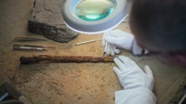 Kıdemli arkeolog profesyonel aletlerle lambanın altındaki antik ahşap mızrağın fosil kalıntılarını temizliyor. Bilim adamı arkeoloji laboratuvarında nesli tükenmiş medeniyetin silahını inceliyor. Kapat..