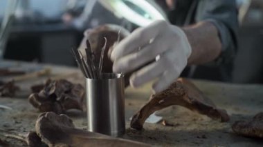 Olgun bir paleoantropolog ya da arkeolog, antik tarih öncesi insanın kafatasını büyüteç kullanarak temizliyor. Erkek bilim adamları modern arkeoloji laboratuvarında fosil kalıntıları üzerinde çalışıyorlar..