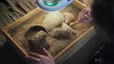 Soyu tükenmiş medeniyetin kültürel mirasını fırça kullanarak lambanın altındaki kumdan temizleyen olgun arkeologlara yakın durun. Bilim adamı arkeoloji laboratuvarında çalışıyor, antik fosil kalıntılarını inceliyor.