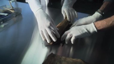 Eldivenli iki arkeolog dikkatle antik Mısır papirüsünü arkeoloji laboratuvarında masanın üzerine seriyorlar. Bilim adamları soyu tükenmiş insan medeniyetinin kültürel mirasıyla çalışıyorlar. Arkeoloji.