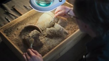 Olgun arkeolog, lambanın altında yapılan kazılar sonrasında antik fosil kalıntılarını inceleyerek tarih öncesi kültür mirasını temizliyor. Bilim adamı modern arkeoloji laboratuvarında çalışıyor..