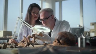 Arkeoloji laboratuvarı: Üst düzey paleoantropolog profesyonel araçlar kullanarak tarih öncesi insan iskeletinin kalıntılarını inceliyor, konuşuyor ve yakınlarda oturan kadın bilim adamlarına antik fosil kemiklerini gösteriyor.
