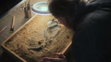 Olgun arkeolog, lamba altındaki fosil kemikleri büyüteç kullanarak inceliyor. Bilim adamı antik hayvan veya insan kalıntıları üzerinde çalışıyor, arkeoloji laboratuvarında bilimsel tarihi araştırmalar yapıyor.