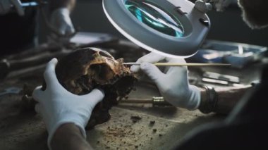 Erkek bilim adamı arkeoloji laboratuvarında fosil kalıntılarıyla çalışıyor. Paleoantropolog ya da eldivenli arkeolog nesli tükenmiş eski insan kafatasını fırçayla temizliyor, büyüteç altında inceliyor..