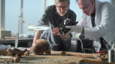 Arkeoloji laboratuvarı: Üst düzey paleoantropolog ve olgun arkeolog, tarih öncesi insan kafatasının profesyonel kamerayla fosil kalıntılarının fotoğrafını çekiyor. Arka planda çalışan kadın bilim adamı.