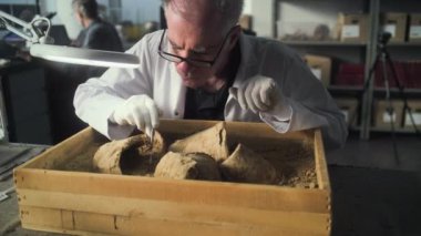 Kıdemli arkeolog veya paleoantropolog, aletler ve fırçayla antik kültür mirasını temizliyor, arkeoloji laboratuvarında fosil kalıntıları üzerinde çalışıyor. Erkek meslektaşım arka planda çalışıyor..