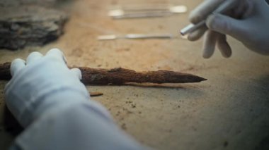 Kıdemli arkeolog profesyonel aletlerle fosil antik tahta mızrakları temizliyor. Bilim adamı, soyu tükenmiş insan medeniyetinin silah kalıntılarını araştırıyor. Arkeoloji laboratuvarında çalışıyor. Kapat.