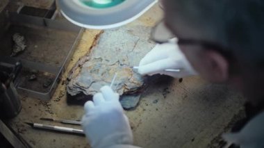 Kıdemli arkeolog, profesyonel aletlerle lambanın altındaki fosilleri temizliyor. Bilim adamı antik soyu tükenmiş medeniyetin tarihi eserleri üzerinde çalışıyor, arkeoloji laboratuvarında tarihi araştırmalar yapıyor..