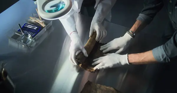 stock image Two archaeologists in gloves carefully roll out ancient Egyptian papyrus on the table in archaeological laboratory. Scientists work with cultural heritage of extinct human civilization. Archaeology.