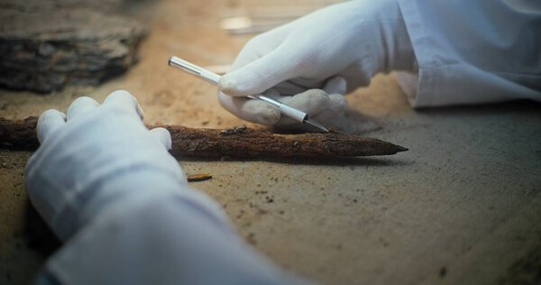 Senior archaeologist in gloves cleans fossil ancient wooden spear using professional tools. Scientist studies weapon remains of extinct human civilization, works in archaeological laboratory. Close Up