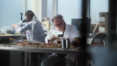 Kıdemli arkeolog profesyonel aletler kullanıyor, tarih öncesi insan iskeletinin kemiklerini ve kalıntılarını arkeoloji laboratuvarında inceliyor. Kadın araştırmacı arka planda mikroskop ve fosillerle çalışır..