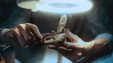 Bilim adamı geceleri arkeoloji laboratuvarında çalışıyor. Olgun arkeolog, fosil kemiklerin ölçümlerini ölçme aracı kullanarak alır, büyüteç altında soyu tükenmiş antik insan kalıntılarını inceler..