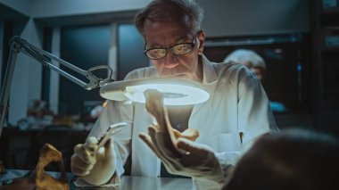 Kıdemli arkeolog ölçüm aracı kullanarak fosil kemiklerin ölçümlerini alıyor, büyüteç altında soyu tükenmiş antik insan kalıntılarını inceliyor. Bilim adamı geceleri arkeoloji laboratuvarında çalışıyor..