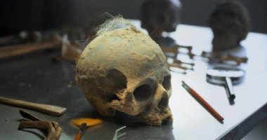 Arkeoloji laboratuvarı: Masada tarih öncesi insanların kafatası. Nesli tükenmiş medeniyetin eski fosil kalıntıları. Tarihi ya da bilimsel araştırma. Antik çağa ait bir eser. Arkeoloji konsepti. Kapat..
