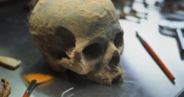 Arkeoloji laboratuvarı: Masadaki antik insan kafatasını kapatın. Tarih öncesi uygarlığın fosil kalıntıları. Tarihi ya da bilimsel araştırma. Antik çağa ait bir eser. Arkeoloji kavramı.