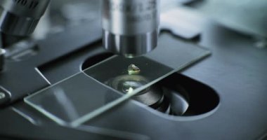 Mikrobiyolojistin mikroskop altında cam kaydıraktaki fosil örneklerini incelerken yakın plan görüntüsü. Bilim adamı veya arkeolog ileri arkeoloji laboratuvarında profesyonel ekipmanlarla çalışıyor..