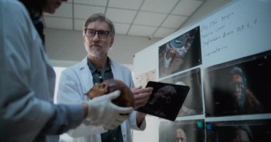 İki bilim adamı tarih öncesi insanın fosil kafatası anatomisini tablet bilgisayar kullanarak araştırıyor. Paleontologlar arkeoloji laboratuvarında çalışıyorlar. Eski insan kafasının 3 boyutlu resimlerini içeren tahta.