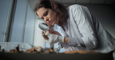 Kadın bilim adamı, arkeoloji laboratuvarında fosil kalıntıları toplayan numunelerle çalışıyor. Arkeolog ya da paleontolog, büyüteçle soyu tükenmiş antik insan iskeletinin kemiklerini inceliyor..
