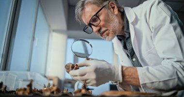 Olgun bilim adamı, arkeoloji laboratuvarında fosil kalıntıları toplayan numunelerle çalışıyor. Arkeolog ya da paleontolog, büyüteçle soyu tükenmiş antik insan iskeletinin kemiklerini inceliyor..