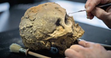 Tarih öncesi soyu tükenmiş bir insanın kafatasını fırça ve profesyonel aletlerle kazdıktan sonra, arkeoloji laboratuvarında fosil kalıntıları üzerinde çalışarak temizlemeye son verin. Antik çağa ait bir eser. Arkeoloji