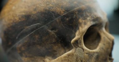 Kazıdan sonra tarih öncesi insanın kafatasına yakın çekim. Bilimsel araştırmalar sırasında soyu tükenmiş medeniyetin eski fosil kalıntıları. Antik çağın arkeolojik eseri. Arkeoloji kavramı.