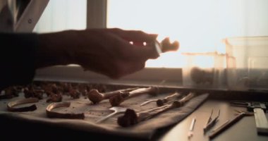 Kadın bilim adamı veya arkeolog, kemiği profesyonel aletlerle temizliyor, tarih öncesi insan veya yırtıcı iskelet kalıntıları üzerinde çalışıyor. Gelişmiş arkeoloji laboratuvarında fosil koleksiyonu. Gün batımı ışığı.