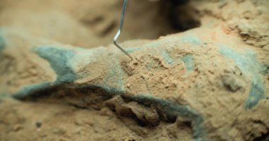 Profesyonel alet ve fırça kullanarak nesli tükenmiş medeniyetin fosil kalıntılarını kumdan temizlerken yakın çekim. Arkeolog, arkeoloji laboratuvarında antik insan veya hayvan kemikleriyle çalışıyor..