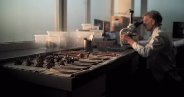 Arkeoloji laboratuvarı: Olgun bilim adamı fosil örneklerini mikroskop ve dizüstü bilgisayarla analiz eder. Dişi arkeolog bilgisayar üzerinde çalışıyor, sonra da tarih öncesi insan veya dinozor iskeletinin kemiklerini inceliyor. Gün batımı ışığı.