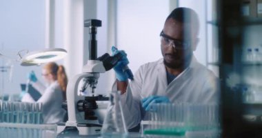 Beyaz önlüklü bilim adamları ileri laboratuarda çalışıyorlar. Afrikalı Amerikalı mikrobiyolog test tüplerindeki sıvıyı mikroskop altında inceliyor. Arka planda, kadın bilim adamı analiz yapıyor..