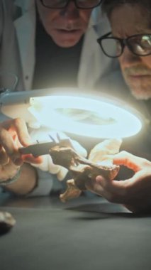 Olgun arkeolog fosil kemiğini ölçme aracıyla ölçüyor, büyüteç altında meslektaşıyla birlikte soyu tükenmiş antik bir insanın kalıntılarını inceliyor. Bilim adamları geceleri arkeoloji laboratuvarında çalışıyorlar..