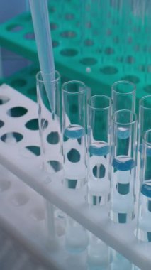 Gelişmiş tıbbi araştırma laboratuvarı: Eldiven giyen profesyonel bilim adamı veya laboratuvar çalışanı pipet kullanır, analiz için test tüplerine cam şişeden sıvı döker. Biyoteknoloji geliştirme. Dikey