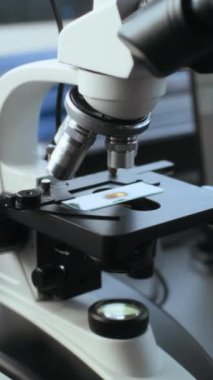 Modern arkeoloji laboratuvarında çalışma alanı. Fosil analizi ve bilimsel mikrobiyolojik araştırma ve dizüstü bilgisayar için cam slaytta bulunan numuneyle mikroskop. Dikey çekim