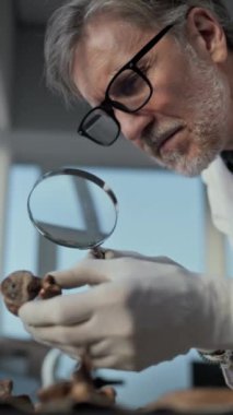 Olgun bilim adamı, arkeoloji laboratuvarında fosil kalıntıları toplayan numunelerle çalışıyor. Arkeolog ya da paleontolog soyu tükenmiş eski insan iskeletinin kemikleri üzerinde çalışıyor. Dikey çekim