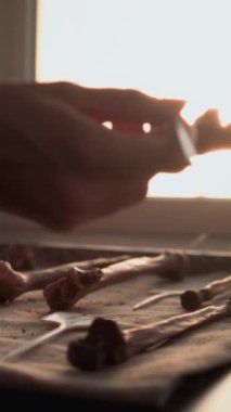 Kadın bilim adamı veya arkeolog, kemiği profesyonel aletlerle temizliyor, tarih öncesi insan veya yırtıcı iskelet kalıntıları üzerinde çalışıyor. Gelişmiş arkeoloji laboratuvarında fosil koleksiyonu. Gün batımı ışığı.