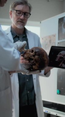 Erkek ve kadın bilim adamları tablet bilgisayar kullanarak antik insanın fosil kafatasını inceliyorlar. Arkeologlar arkeoloji laboratuvarında çalışırlar. İnsan kafasının 3 boyutlu görüntülerinin basılı olduğu tahta.