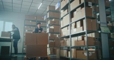 Erkek envanter müdürü depoda karton kutularla dolu bir kamyonet kullanıyor. Akıllı telefon kullanarak paket kodlarını tarıyor. Arka planda çalışan tasnif merkezi çalışanları. Teslimat servisi. Yavaş çekim.