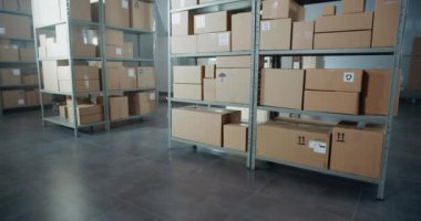 Büyük Depo, raflı, karton kutuları ve paketleri olan depo perakende satış merkezi. Postane ya da Dağıtım Ürün Teslimatı Merkezi. Lojistik Konsepti. Doli Vuruşu.