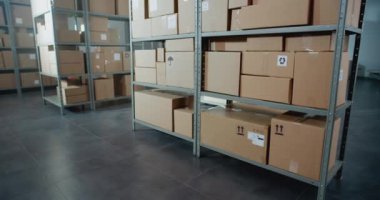 Tasnif Tesisi, E-Ticaret Siparişleriyle Çevrimiçi Dükkan Deposu, Raflardaki Karton Kutular ve Paketler. Depo Teslimat Merkezi. Lojistik ve Dağıtım. Doli Vuruşu
