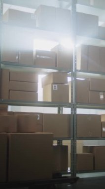 Afro-Amerikan tasnif merkezi çalışanı karton kutularla dolu Palet Kamyonu boşaltıyor, Depo Tesisinde raflara koyuyor. E-Ticaret Çevrimiçi Siparişler, Mallar. Teslimat servisi. Dikey Çekim