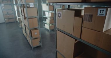 Büyük Depo, raflı, karton kutuları ve paketleri olan depo perakende satış merkezi. Postane ya da Dağıtım Ürün Teslimatı Merkezi. Lojistik Konsepti. Doli Vuruşu.