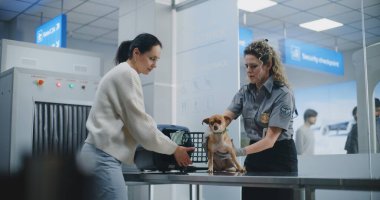 Havaalanındaki Güvenlik Kontrol Noktasında evcil hayvanı olan kadın: Kadın TSA memuru Chihuahua Köpeği Taşıyıcı Tarayıcı Tarayıcı, Posta Köpeği Tarayıcısı kullanıyor. Uçağa binmeden önce hayvan denetimi. Doli Vuruşu.