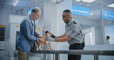 Havaalanı Terminali: Güvenlik Kontrol Noktasında Hayvan Bakımı yapan Olgun Adam. Afro-Amerikan Güvenlik Subayı, Köpeği Denetliyor, Metal dedektörüyle tarıyor. Uçağa binmeden önce TSA Hayvan Tarama Prosedürleri.