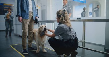 Havalimanı Terminali 'ndeki Hayvan Bakım Yönetmeliği' nde Olgun Adam: Kadın TSA Memuru Golden Retriever Dog 'u Metal Algılayıcı kullanarak tarıyor. Uçağa binmek için Güvenlik Kontrol Noktasında Hayvan Denetleme.