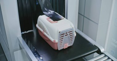 Havaalanı Güvenlik Kontrol Noktası: Güvenlik Görevlisi, Kontrol Ettikten sonra X-ray Tarama Makinesinden Hayvan Taşıma Kutuları Taşıyor. Hayvanları Taşımak İçin Tarama Süreci. Sabit Çekim