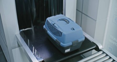 Havaalanı Güvenlik Kontrol Noktası: Güvenlik Görevlisi, Kontrol Ettikten sonra X-ray Tarama Makinesinden Hayvan Taşıma Kutuları Taşıyor. Hayvanları Taşımak İçin Tarama Süreci. Sabit Çekim