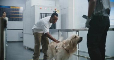Havaalanı Terminalindeki Güvenlik Kontrol Noktasında Evcil Hayvanı Olan Afrikalı Amerikalı Turist: TSA Tarayıcı Golden Retriever Dog Kullanıcı Metal Detektörü Tarayıcısı. Uçağa binmeden önce Hayvan Denetleme.
