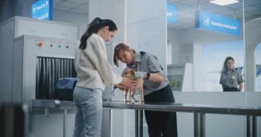 Havalimanı Terminali 'nde Hayvan Bakımı Süreci Yapan Kadın: Kadın Ulaşım Güvenliği Memuru Köpeği Taşıyıcı Metal Detektörü Kullanarak Tarıyor, Posta Köpeği Taşıyıcıda. Uçağa binmeden önce Güvenlik Kontrol Noktasında Hayvan Denetleme