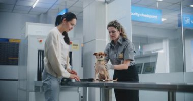 Havaalanındaki Güvenlik Kontrol Noktasında evcil hayvanı olan kadın: Kadın TSA memuru Chihuahua Köpeği Taşıyıcı Tarayıcı Tarayıcı, Posta Köpeği Tarayıcısı kullanıyor. Uçağa binmeden önce hayvan denetimi. Doli Vuruşu.
