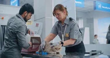 Havaalanı Terminali: Hayvan Bakım noktasında Hintli adam. Kadın Güvenlik Memuru Kedi Taraması Metal Detektörü kullanarak, Çantayı Taşıyarak. Tarama İşlemi Kuyruğunda Köpekli Olgun Adam.